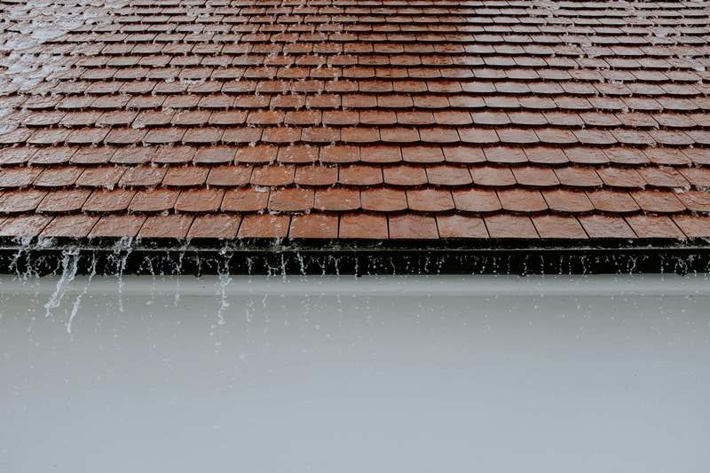 Weathertightness & Moisture Assessment